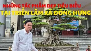 Những tác phẩm sinh vật cảnh đẹp tiêu biểu tại Triển lãm xã Đông Hưng – Hưng Yên lần thứ nhất.