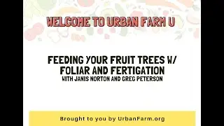 Feeding your trees with Foliar & Fertigation