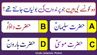 Daily islamic question | Top World islamic Question & Answer | Dilchaps Malomat Urdu islamic Point