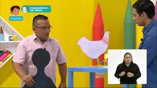 2° Primaria - Conocimiento del Medio - Los animales y sus tamaños