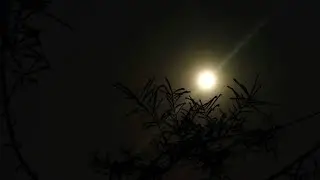 Under the Same Moon”Forgotten Kerala is live!