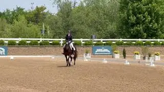 Training Level Test 3 (Regional Qualification), HITS Chicago, personal horse, 2015 KWPN Gelding