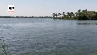 Egyptians cool off in the river Nile