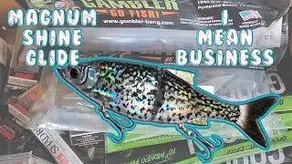 Savage Gear Magnum Shine Glide Unboxing - 12/29/19