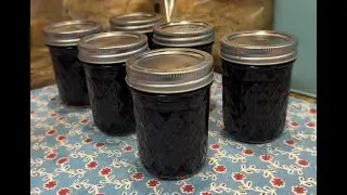 Blackberry Jam Recipe Canuary 2026