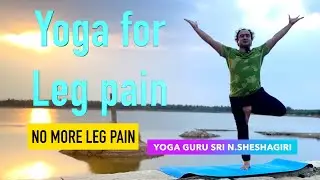Yoga for leg pain N Sheshagiri #Arthritis #sciatica #pain #sorelegs #vericoseveins #swelling #redne