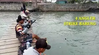 Takjub!!! Ikan Penghuni Dam Tahu Pindah Ke Sini