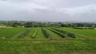 Morning Bliss in Nature | Hosur Beauty