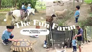Fun Farm at Sta Elena | iMariella