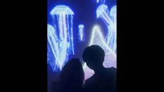 Moron - Best part w/KingM (Prod. under the maple tree)