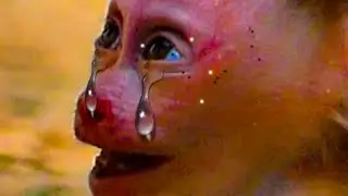 Oh no Leo wet cry so loud tear fall down big sad bb