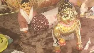 𝕊𝕙𝕣𝕚 𝕛𝕚 ❤𝕝𝕒𝕝𝕛𝕦 𝕕𝕒𝕝𝕚𝕪 seva❤🦚🌺🌼𝕧𝕝𝕠𝕘