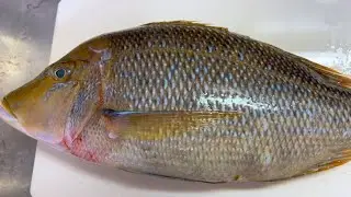 Japanese Street Food-Cutting 1.5kg EMPEROR bream fish(Fuefukidai)for make sashimi