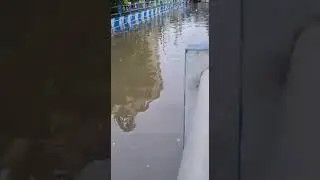 Waterlogged because of Heavy Rains in Patipukur Underpass, South Dumdum West Bengal..