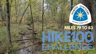 Fall Colors Along SPRING CREEK NCT HIKE 100 | Hike POV, ASMR