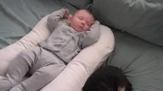 Snuggle Me Organic Co Sleeper Review - Shortened Version