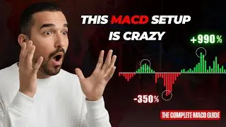 The Only MACD Trading Guide Beginners Need | Bullish Nerd