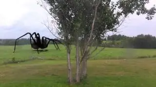 Spider strike action movie fx