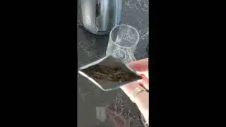 2022 Adagio Tea Advent Calendar Evergreen Day 10