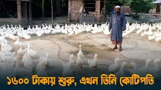 ১৬০০ টাকায় শুরু, এখন তিনি কোটিপতি | Chuadanga | Duck Farming | Dhaka Post