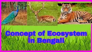 Concept of Ecosystem/Classification of Ecosystem/Pond Ecosystem  in Bengali