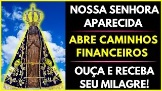 Desvendando o Poder das Ora&ccedil;&otilde;es de Nossa Senhora Aparecida para a Prosperidade Financeira!