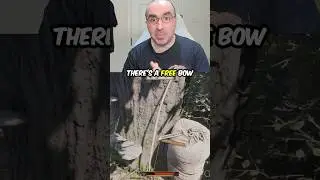Best Early Bow In Kingdom Come Deliverance 2