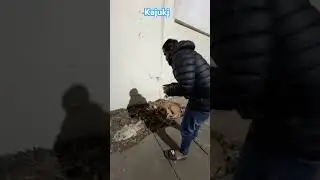#freerista
