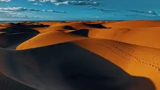 Anis Karek, Jungo - Nomade