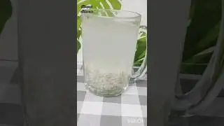 Barley Water Recipe ,🌼 Perfect Drink For Summer Heat👍👍