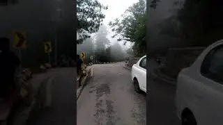 Summer in Murree ( Pakistan ) #travel #tour
