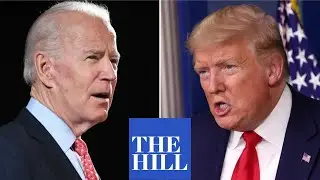 Dozens of Trump appointees 'BURROW' into Biden government