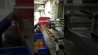 Biscuit packing machine (Brpouch +919910803150)