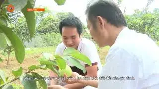 [TIẾNG THÁI] ĐẨY MẠNH ỨNG DỤNG KHOA HỌC - CÔNG NGHỆ TRONG SẢN XUẤT NÔNG NGHIỆP | VTV5