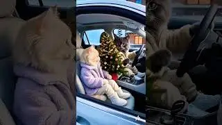 do Billi ghumne ja rahe haint: #kidsvideo#/