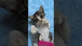 Left Behind By His Mother And Siblings Because Of His Birth Defect [STORY BELOW]