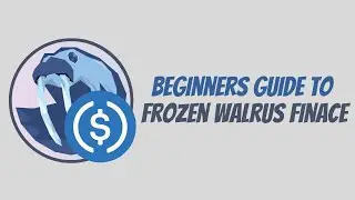 Beginners Guide to Frozen Walrus Finance