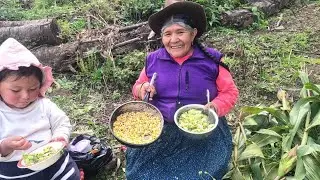 La VIDA en el CAMPO Y la tranquilidad paz para el alma