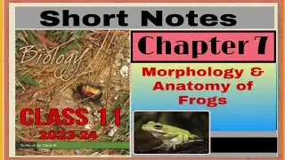 Short Notes &mdash; Morphology & Anatomy of frog / chapter 7/ Hand written notes/Class 11/ Biology/Neerja