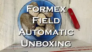 Formex Field Automatic Watch Unboxing Video #unboxing #formex