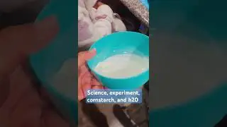 #science #scienceexperiment #experiment #passionoftreasure   #adventure #cornstarch #water #h20 #wow