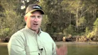 WildEye Swim Shad