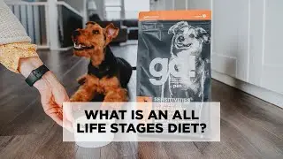 What is an All Life Stages Diet? | GO! SOLUTIONS