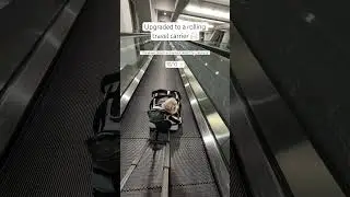 Our small dog enjoying Denver Airport in his rolling travel carrier that we also got from Amazon