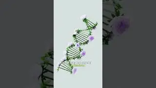 Can Emotions Change Your DNA? #documentary #history #ancient