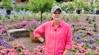 Heat-Loving Plants for Your Summer Garden (Plus Production Construction)