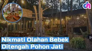 Nikmati Olahan Bebek Ditengah Pohon Jati | Diskursus Network