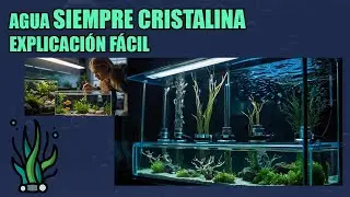 02.- Montaje y FILTRACI&Oacute;N BIOL&Oacute;GICA