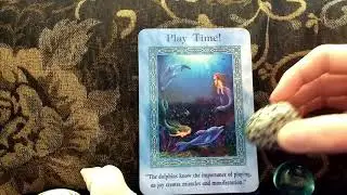 Daily Oracle Card Reading 23rd March 2018 Magical Mermaids and Dolphins Angel tarot guidance