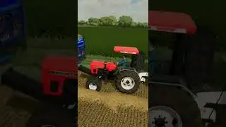 855Dinosaur Trolley pull